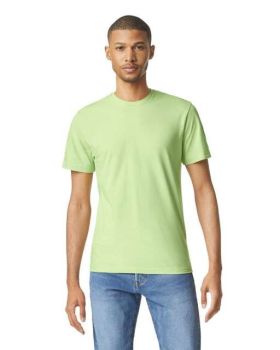 SOFTSTYLE<SUP>®</SUP> ADULT T-SHIRT Pistachio 3XL